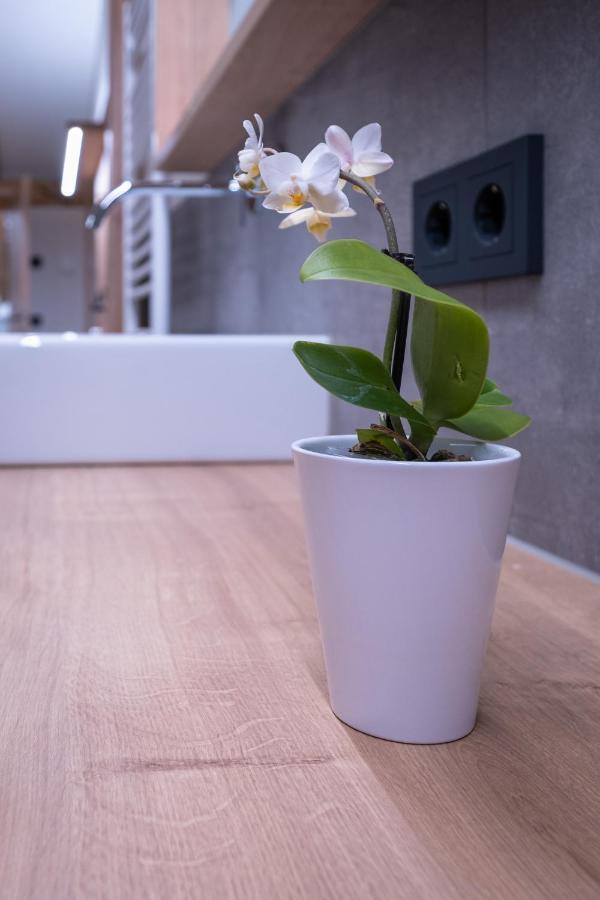 Apartment Haus Schoenwies Alpbach Buitenkant foto